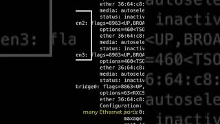 What are Linux Commands IPConfig and IfConfig [upl. by Thia]