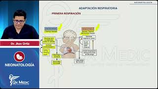 Adaptación respiratoria en Neonatología II Repaso ENAM [upl. by Saville]