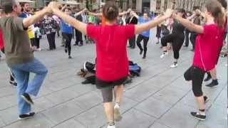 La Sardana  Danza en las calles de Barcelona [upl. by Ydisac]