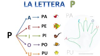 Le sillabe di P 🦩VOCALECONSONANTESILLABA [upl. by Benis]