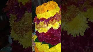 Ma inti Bathukamma meeru ela chesukunaru bathukamma telangana bathukamma shorts festival joy [upl. by Barraza]