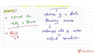 What is the main role of vernalisation in plants [upl. by Acinomed]