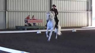 Third Level Western Dressage Freestyle [upl. by Love]