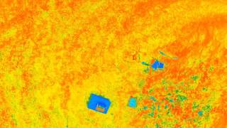 NDVI Cfm Post processing using FIJI software [upl. by Danas551]