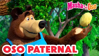 Masha y el Oso 2024 🐻👱‍♀️ Oso paternal 😇🎀🐼 1 hora 🤗 Dibujos animados 🎬 Masha and the Bear [upl. by Domenico]