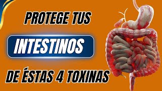 PROTEGE TUS INTESTINOS DE ESTAS 4 TOXINAS COMUNES [upl. by Nillok]