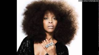 Erykah Badu  On amp On Roux Spana Remix [upl. by Quirita897]