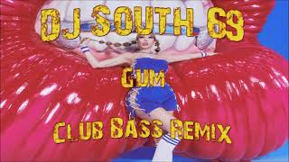 DJ SOUTH 69  GUM  Club Bass Remix [upl. by Thordis]