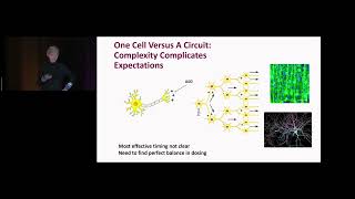 What We Are Learning About Ion Channels  2024 Nanorare Patient Colloquium [upl. by Llerrem351]