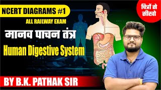 Human Digestive System NCERT Diagrams For RRB Railway Exam By BK Pathak Sir [upl. by Farnsworth878]