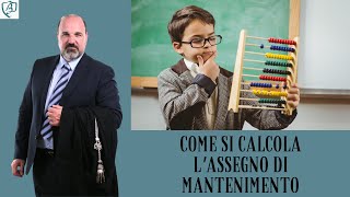 Come si calcola lassegno di mantenimento [upl. by Acinonrev724]