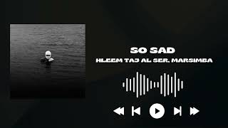 Hleem Taj Alser So sad FULL SONG [upl. by Orelie]