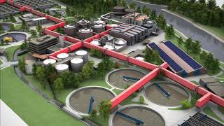 Zurich Werdhoelzli How does a sewage treatment plant work [upl. by Corydon]