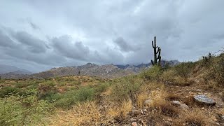 Hiking in the rain and found￼ some￼Hohokam ￼pottery [upl. by Razid]