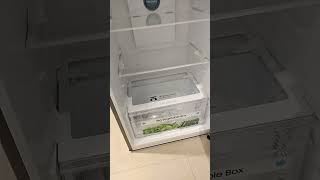 Samsung 419L fridge Model RT45DG6A2BSLHL2024 samsungfridge homeappliances croma vijaysales [upl. by Letch123]