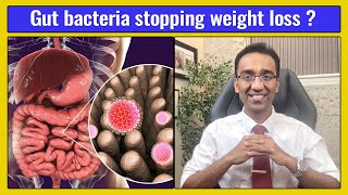 GUT BACTERIA  How to USE this to lose weight  Dr Pal [upl. by Judus]