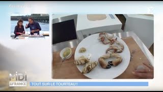 RECETTE  Tout sur le tourteau [upl. by Sherrie]