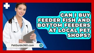 Can I Buy Feeder Fish and Bottom Feeders at Local Pet Shops  PetGuide360com [upl. by Kieffer936]