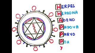 Easy ways to remember DNA viruses in less than 60 seconds [upl. by Nanaj]