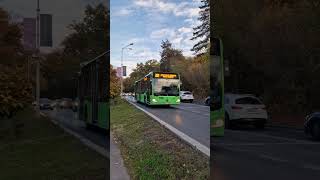 Autobuzul MercedesBenz Citaro Hybrid 7007 pe linia 301 AlexSpottingstb7007 [upl. by Euton]