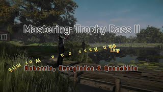 Trophy Bass II Worm Jig Bait  Fishing Planet [upl. by Emaj]