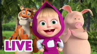 🔴 LIVE STREAM 🎬 Masha and the Bear 🤸‍♂️ Jump Skip and Hop together 🏃🙌 [upl. by Kerek]