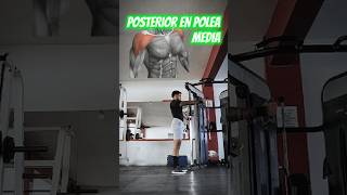 Posterior con maneral en polea media a una mano [upl. by Attenna]