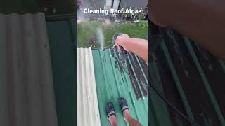 How to clean Roof Algae australia roof cairns cairnsaustralia pressure washing [upl. by Lauber]