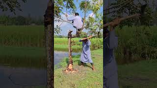 The man sat on the tree and drove the car [upl. by Telracs]