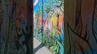 More Alike Than Different  Cleveland Mural on Puritas Rd shorts short youtubeshorts [upl. by Ateloiv]