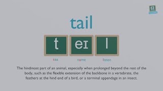 How to pronounce tail [upl. by Weinert]