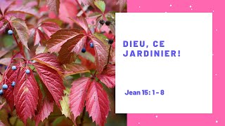 Dieu ce jardinier sermon message vigne Jésus [upl. by Schubert]