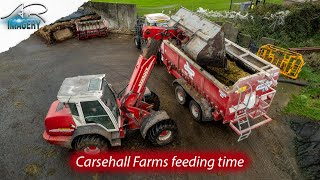 Feeding time down at Carsehall Farm [upl. by Benildis]