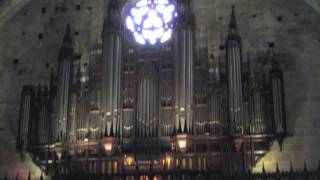 30 Pipe organ Cathedrale SaintMaurice Mirepoix France [upl. by Lerej]