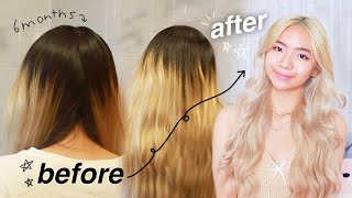 bleaching my roots AT HOME ✰ ultimate guide tips amp advice [upl. by Hild340]