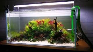 90cm Nature Aquarium  Twinstar Interzoo 2018 [upl. by Karlee]