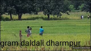 gram daldali makka ke khet me hathi sortsvlogs video amar cg vlogs video 🙏🙏🙏🙏🙏🙏🙏 [upl. by Asehr]