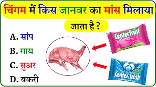 GK Question  GK In Hindi  GK Question and Answer  GK Quiz [upl. by Nahgeem]