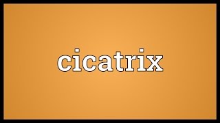 Cicatrix Meaning [upl. by Harat]