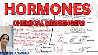 Endocrine paracrine neuroendocrine Endocrine cytokines [upl. by Ahgiel692]