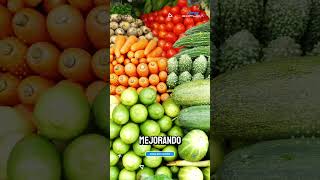 60 Nuevos invernaderos para asegurar la producción de alimentos [upl. by Alor821]