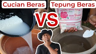 Akhirnya Terbongkar Mitos Air Cucian beras amp Tepung Beras [upl. by Ardnuas]