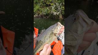 Kayak Bass Fishing RAIN GEAR amp RUDY yakventures kayakfishing kayakbassfishing [upl. by Waiter362]