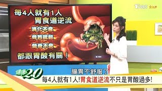 胃食道逆流不只是胃酸過多，讓你的胃變年輕2招必勝！健康20 20190512完整版 [upl. by Aihsram]