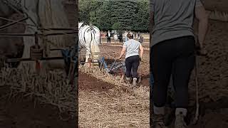 Traditional Horse Ploughing at the 73rd British National Ploughing Championships 13th October 2024 [upl. by Chere]