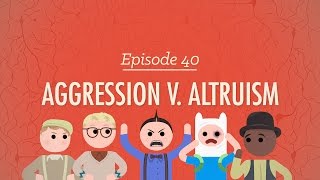 Aggression vs Altruism Crash Course Psychology 40 [upl. by Yhtac]