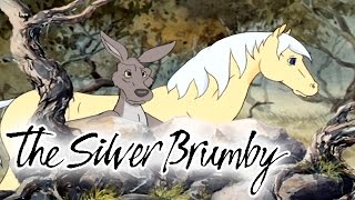 The Silver Brumby 120  In it Together HD  Full Episode [upl. by Butte]