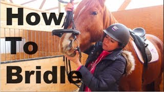 How To Bridle a Horse [upl. by Heise]