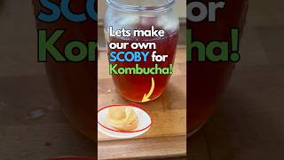 Heres how to make your own SCOBY for Kombucha fermentation [upl. by Ostraw]