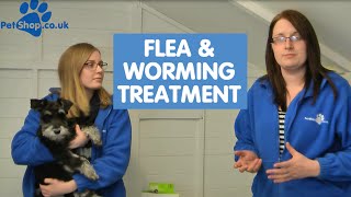 How to use Advantage Flea amp Drontal Worming Treatment [upl. by Dougall528]